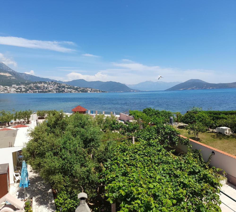 Apartments Maxi Katic Herceg Novi Pokoj fotografie